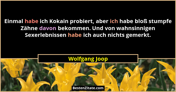 Einmal habe ich Kokain probiert, aber ich habe bloß stumpfe Zähne davon bekommen. Und von wahnsinnigen Sexerlebnissen habe ich auch ni... - Wolfgang Joop