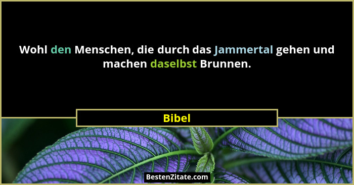 Wohl den Menschen, die durch das Jammertal gehen und machen daselbst Brunnen.... - Bibel