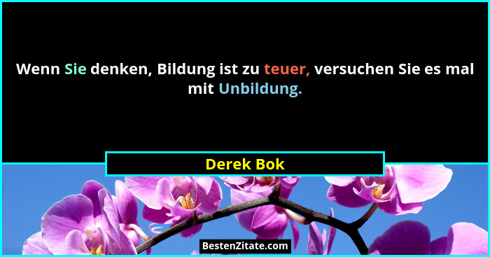 Wenn Sie denken, Bildung ist zu teuer, versuchen Sie es mal mit Unbildung.... - Derek Bok