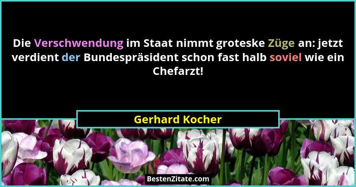 Die Verschwendung im Staat nimmt groteske Züge an: jetzt verdient der Bundespräsident schon fast halb soviel wie ein Chefarzt!... - Gerhard Kocher