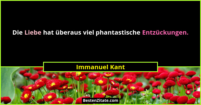 Die Liebe hat überaus viel phantastische Entzückungen.... - Immanuel Kant