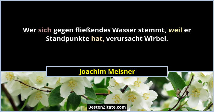 Wer sich gegen fließendes Wasser stemmt, weil er Standpunkte hat, verursacht Wirbel.... - Joachim Meisner