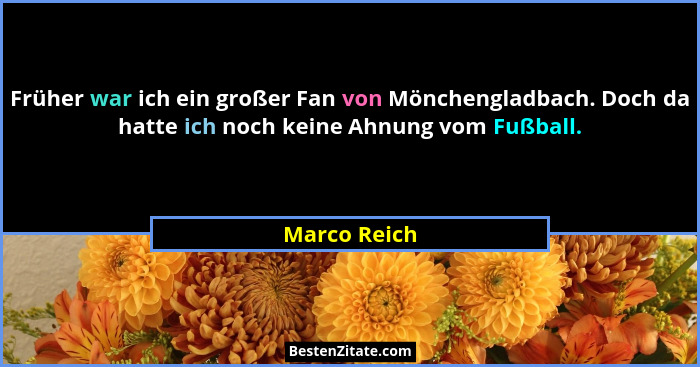 Früher war ich ein großer Fan von Mönchengladbach. Doch da hatte ich noch keine Ahnung vom Fußball.... - Marco Reich