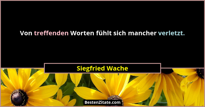 Von treffenden Worten fühlt sich mancher verletzt.... - Siegfried Wache