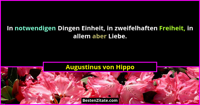 In notwendigen Dingen Einheit, in zweifelhaften Freiheit, in allem aber Liebe.... - Augustinus von Hippo