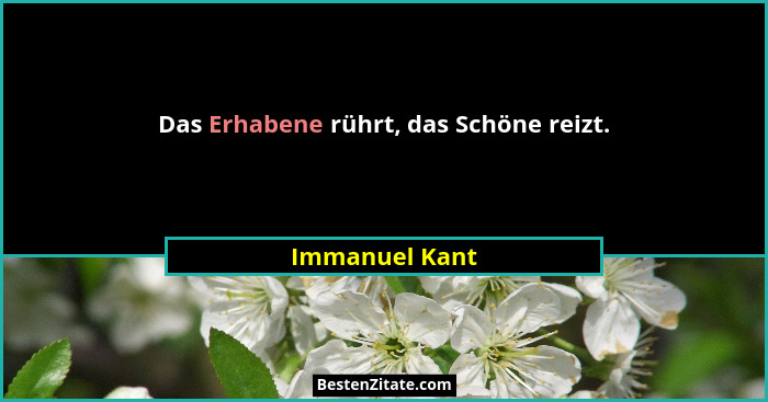 Das Erhabene rührt, das Schöne reizt.... - Immanuel Kant