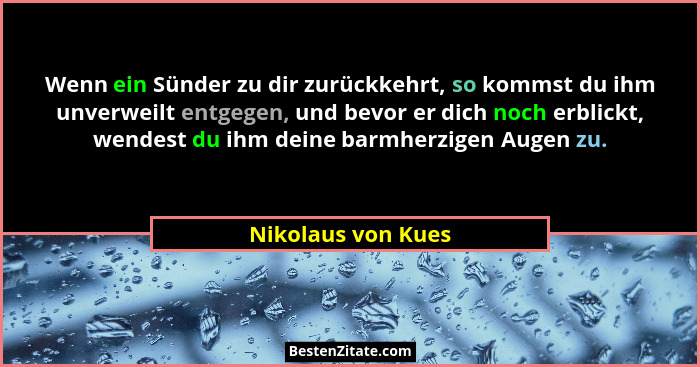 Wenn ein Sünder zu dir zurückkehrt, so kommst du ihm unverweilt entgegen, und bevor er dich noch erblickt, wendest du ihm deine ba... - Nikolaus von Kues