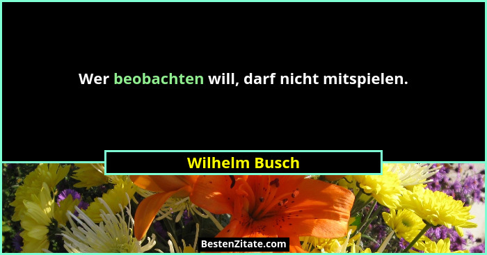 Wer beobachten will, darf nicht mitspielen.... - Wilhelm Busch