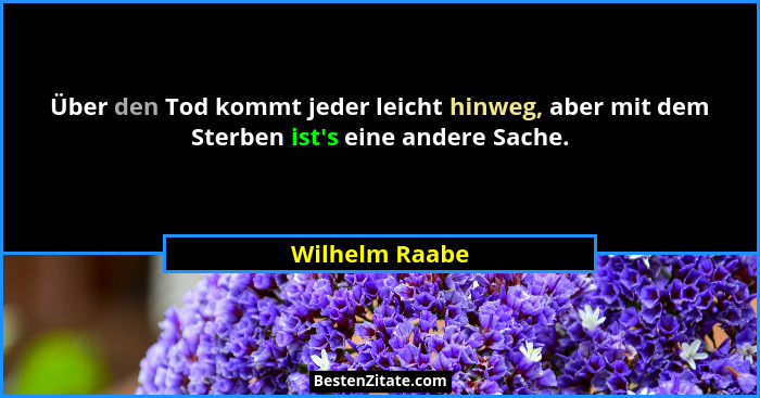 Über den Tod kommt jeder leicht hinweg, aber mit dem Sterben ist's eine andere Sache.... - Wilhelm Raabe