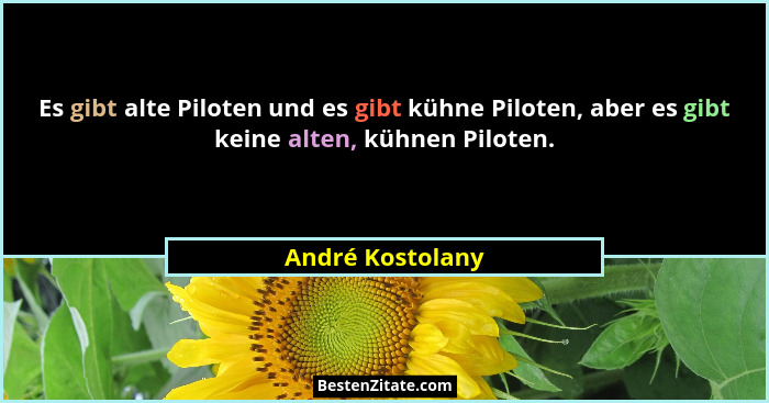Es gibt alte Piloten und es gibt kühne Piloten, aber es gibt keine alten, kühnen Piloten.... - André Kostolany