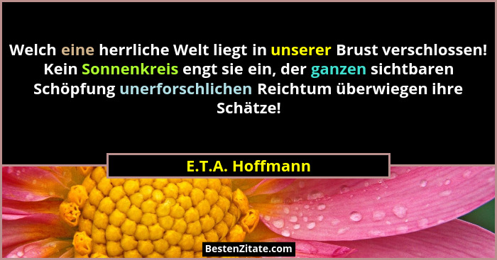Welch eine herrliche Welt liegt in unserer Brust verschlossen! Kein Sonnenkreis engt sie ein, der ganzen sichtbaren Schöpfung unerfo... - E.T.A. Hoffmann