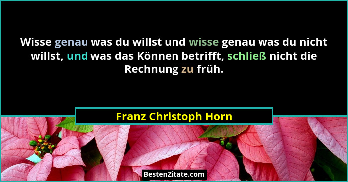Wisse genau was du willst und wisse genau was du nicht willst, und was das Können betrifft, schließ nicht die Rechnung zu früh.... - Franz Christoph Horn