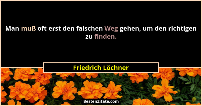 Man muß oft erst den falschen Weg gehen, um den richtigen zu finden.... - Friedrich Löchner