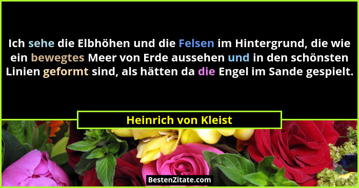 Ich sehe die Elbhöhen und die Felsen im Hintergrund, die wie ein bewegtes Meer von Erde aussehen und in den schönsten Linien gef... - Heinrich von Kleist