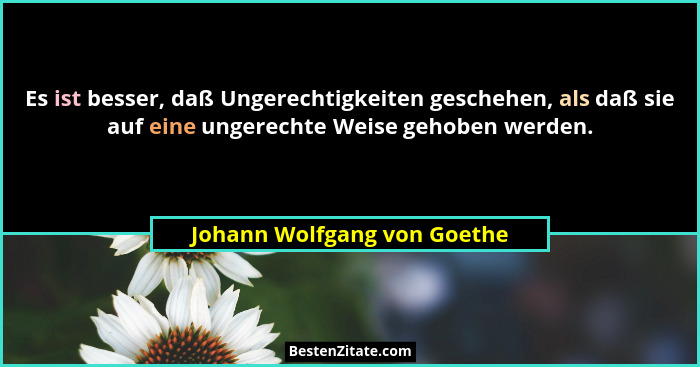 Es ist besser, daß Ungerechtigkeiten geschehen, als daß sie auf eine ungerechte Weise gehoben werden.... - Johann Wolfgang von Goethe