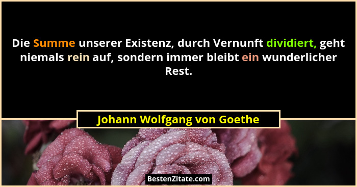 Die Summe unserer Existenz, durch Vernunft dividiert, geht niemals rein auf, sondern immer bleibt ein wunderlicher Rest.... - Johann Wolfgang von Goethe