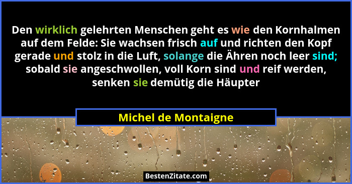 Den wirklich gelehrten Menschen geht es wie den Kornhalmen auf dem Felde: Sie wachsen frisch auf und richten den Kopf gerade und... - Michel de Montaigne