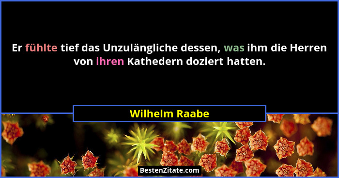 Er fühlte tief das Unzulängliche dessen, was ihm die Herren von ihren Kathedern doziert hatten.... - Wilhelm Raabe