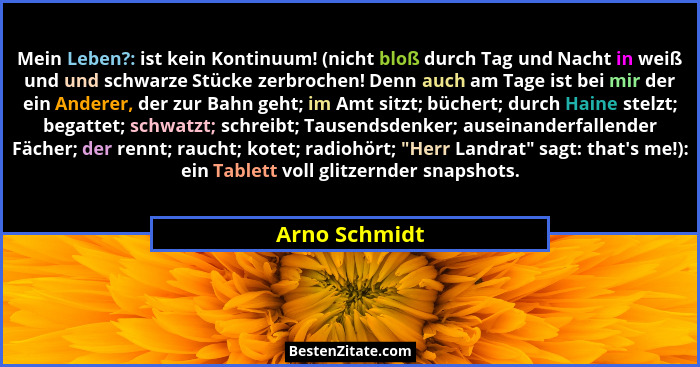 Mein Leben?: ist kein Kontinuum! (nicht bloß durch Tag und Nacht in weiß und und schwarze Stücke zerbrochen! Denn auch am Tage ist bei... - Arno Schmidt