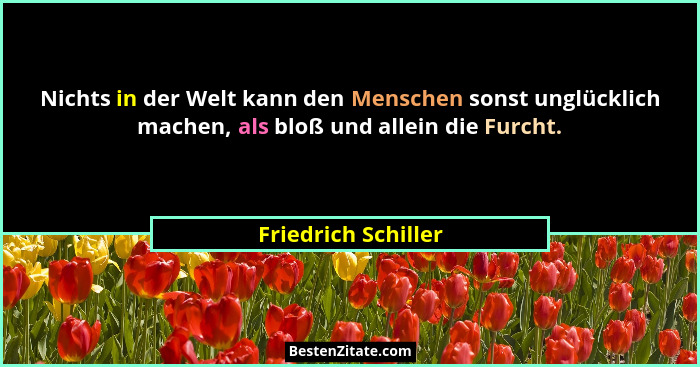 Nichts in der Welt kann den Menschen sonst unglücklich machen, als bloß und allein die Furcht.... - Friedrich Schiller
