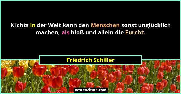 Nichts in der Welt kann den Menschen sonst unglücklich machen, als bloß und allein die Furcht.... - Friedrich Schiller