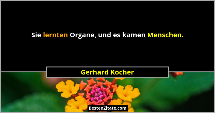Sie lernten Organe, und es kamen Menschen.... - Gerhard Kocher