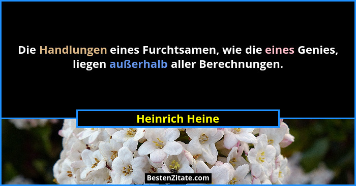 Die Handlungen eines Furchtsamen, wie die eines Genies, liegen außerhalb aller Berechnungen.... - Heinrich Heine