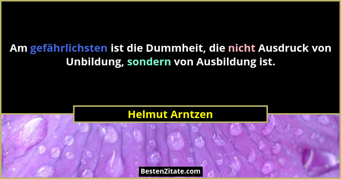 Am gefährlichsten ist die Dummheit, die nicht Ausdruck von Unbildung, sondern von Ausbildung ist.... - Helmut Arntzen