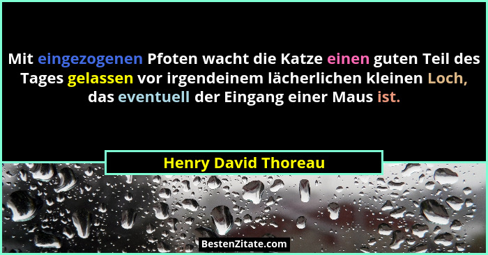 Mit eingezogenen Pfoten wacht die Katze einen guten Teil des Tages gelassen vor irgendeinem lächerlichen kleinen Loch, das event... - Henry David Thoreau
