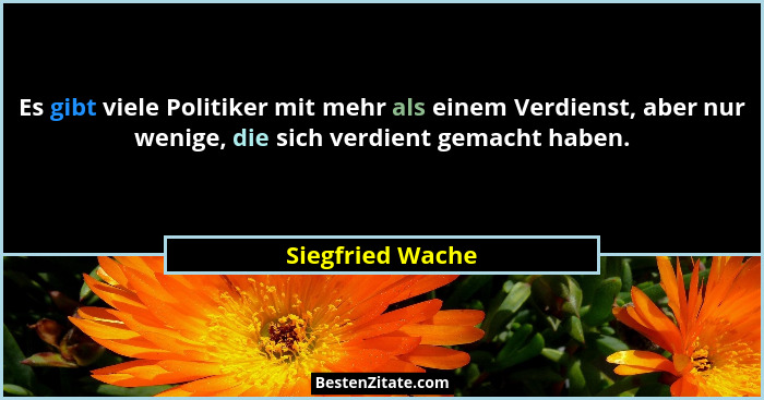 Es gibt viele Politiker mit mehr als einem Verdienst, aber nur wenige, die sich verdient gemacht haben.... - Siegfried Wache