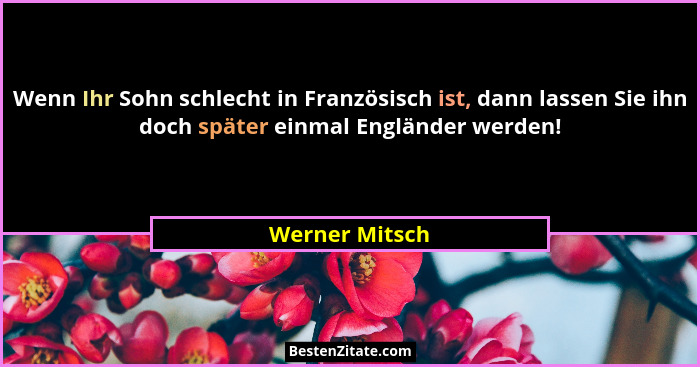 Wenn Ihr Sohn schlecht in Französisch ist, dann lassen Sie ihn doch später einmal Engländer werden!... - Werner Mitsch