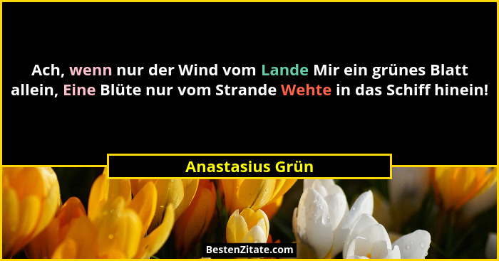 Ach, wenn nur der Wind vom Lande Mir ein grünes Blatt allein, Eine Blüte nur vom Strande Wehte in das Schiff hinein!... - Anastasius Grün