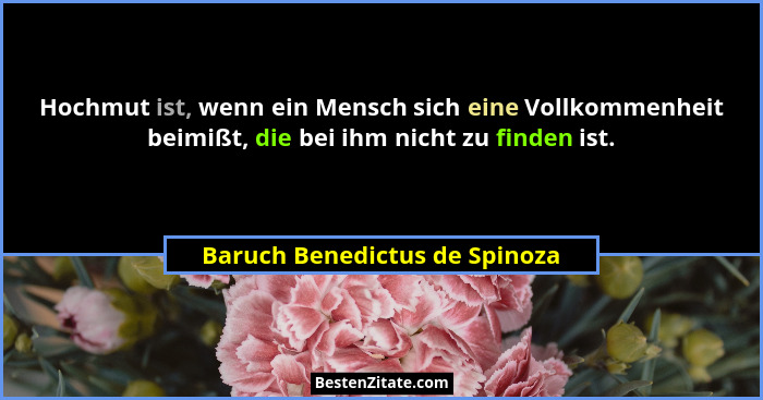 Hochmut ist, wenn ein Mensch sich eine Vollkommenheit beimißt, die bei ihm nicht zu finden ist.... - Baruch Benedictus de Spinoza