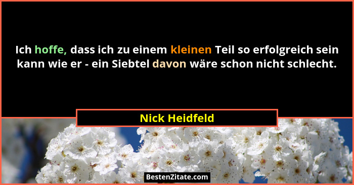 Ich hoffe, dass ich zu einem kleinen Teil so erfolgreich sein kann wie er - ein Siebtel davon wäre schon nicht schlecht.... - Nick Heidfeld