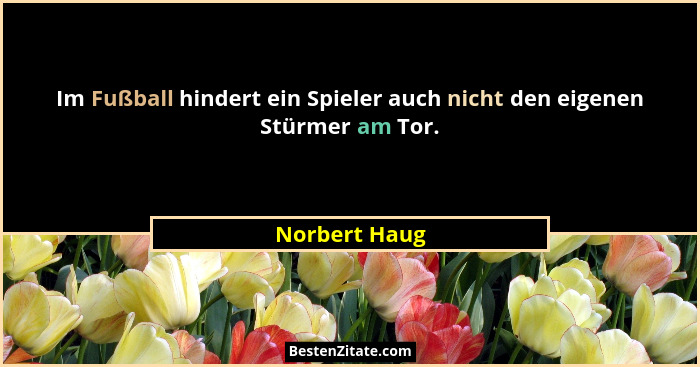Im Fußball hindert ein Spieler auch nicht den eigenen Stürmer am Tor.... - Norbert Haug