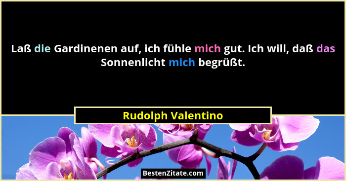 Laß die Gardinenen auf, ich fühle mich gut. Ich will, daß das Sonnenlicht mich begrüßt.... - Rudolph Valentino