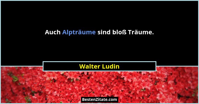 Auch Alpträume sind bloß Träume.... - Walter Ludin