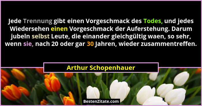 Jede Trennung gibt einen Vorgeschmack des Todes, und jedes Wiedersehen einen Vorgeschmack der Auferstehung. Darum jubeln selbst... - Arthur Schopenhauer