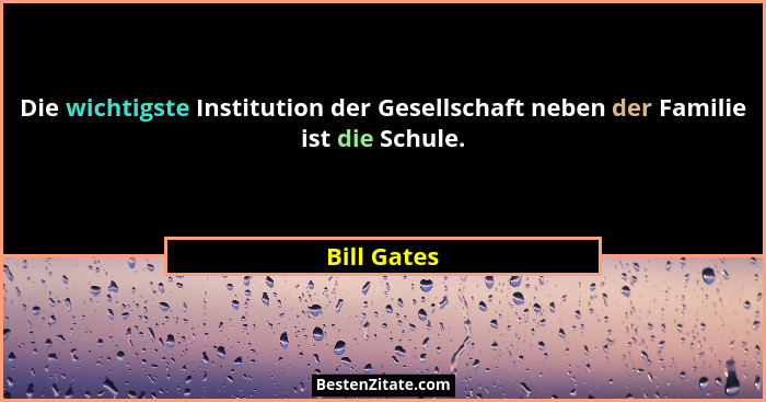 Die wichtigste Institution der Gesellschaft neben der Familie ist die Schule.... - Bill Gates