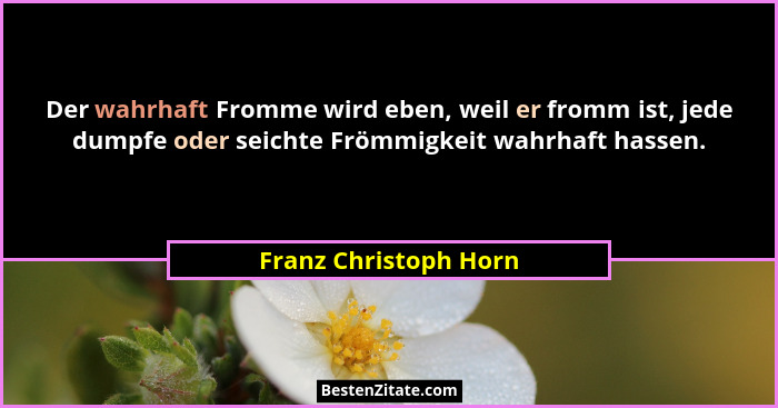 Der wahrhaft Fromme wird eben, weil er fromm ist, jede dumpfe oder seichte Frömmigkeit wahrhaft hassen.... - Franz Christoph Horn