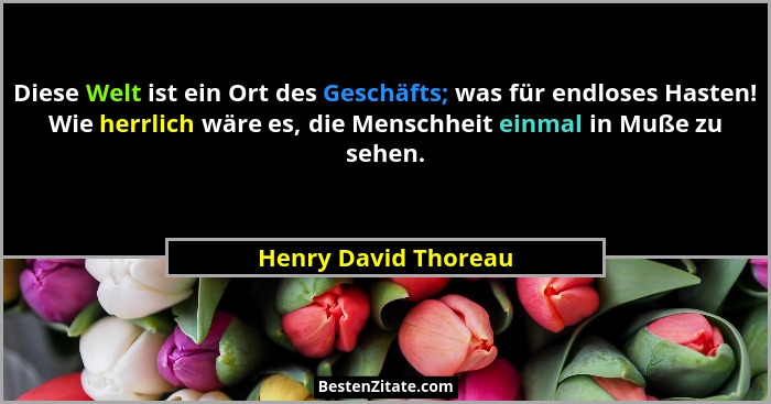 Diese Welt ist ein Ort des Geschäfts; was für endloses Hasten! Wie herrlich wäre es, die Menschheit einmal in Muße zu sehen.... - Henry David Thoreau