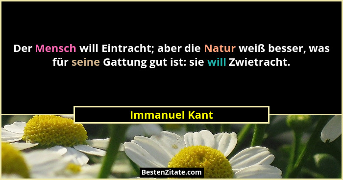 Der Mensch will Eintracht; aber die Natur weiß besser, was für seine Gattung gut ist: sie will Zwietracht.... - Immanuel Kant
