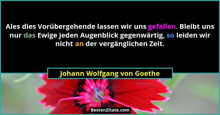 Ales dies Vorübergehende lassen wir uns gefallen. Bleibt uns nur das Ewige jeden Augenblick gegenwärtig, so leiden wir ni... - Johann Wolfgang von Goethe