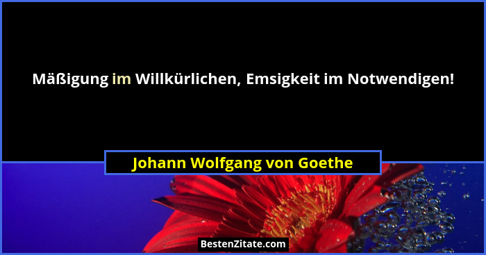 Mäßigung im Willkürlichen, Emsigkeit im Notwendigen!... - Johann Wolfgang von Goethe