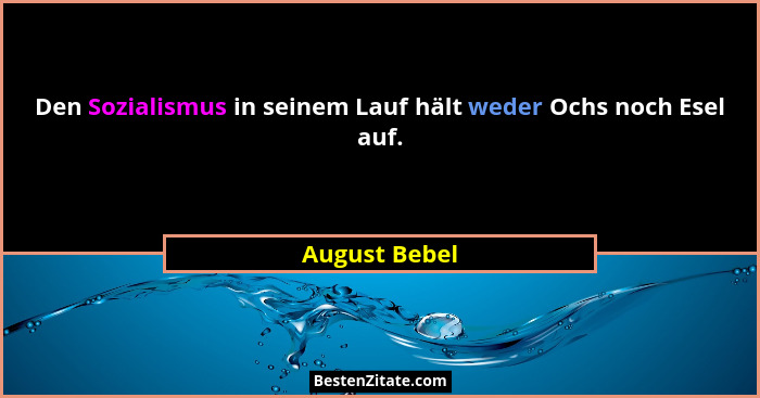 Den Sozialismus in seinem Lauf hält weder Ochs noch Esel auf.... - August Bebel