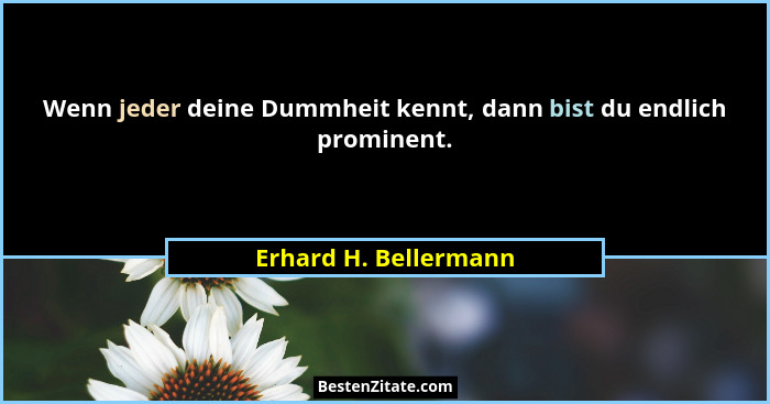 Wenn jeder deine Dummheit kennt, dann bist du endlich prominent.... - Erhard H. Bellermann