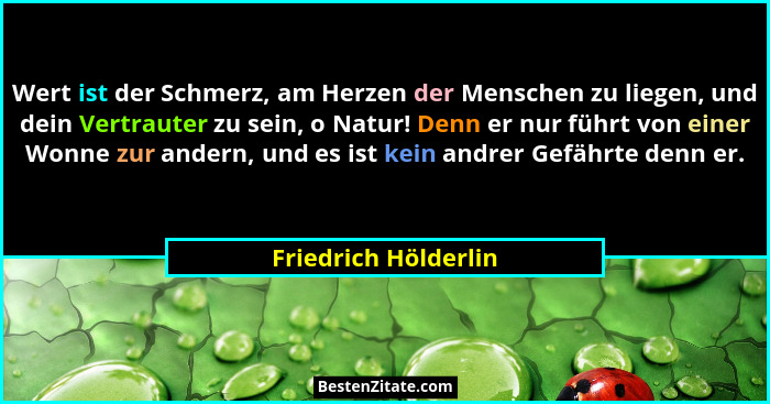 Wert ist der Schmerz, am Herzen der Menschen zu liegen, und dein Vertrauter zu sein, o Natur! Denn er nur führt von einer Wonne... - Friedrich Hölderlin