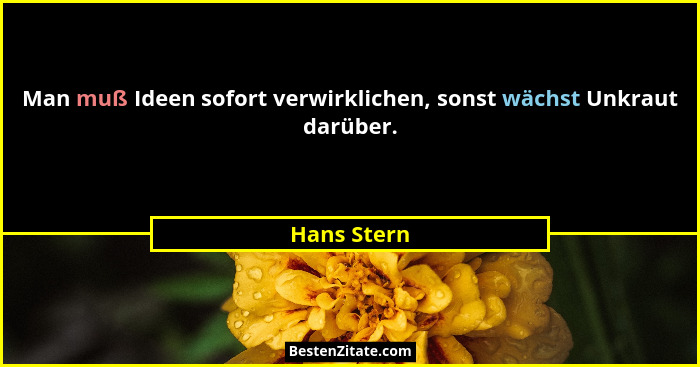 Man muß Ideen sofort verwirklichen, sonst wächst Unkraut darüber.... - Hans Stern