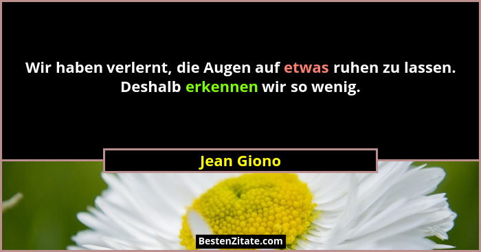 Wir haben verlernt, die Augen auf etwas ruhen zu lassen. Deshalb erkennen wir so wenig.... - Jean Giono