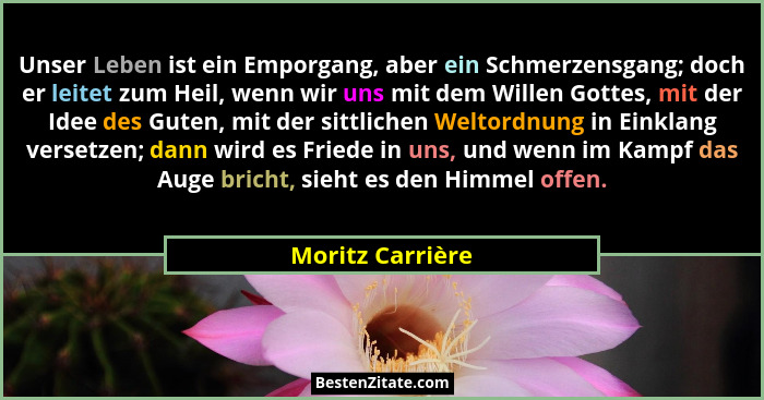 Unser Leben ist ein Emporgang, aber ein Schmerzensgang; doch er leitet zum Heil, wenn wir uns mit dem Willen Gottes, mit der Idee de... - Moritz Carrière